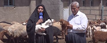 نجات گونه جانوری در معرض انقراض