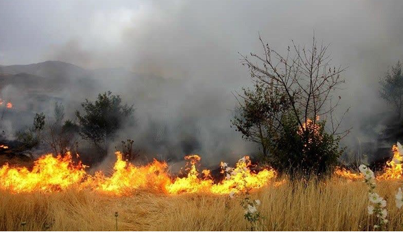 شعله‌های آتش پناهگاه حیات وحش بیستون فروکش کرد