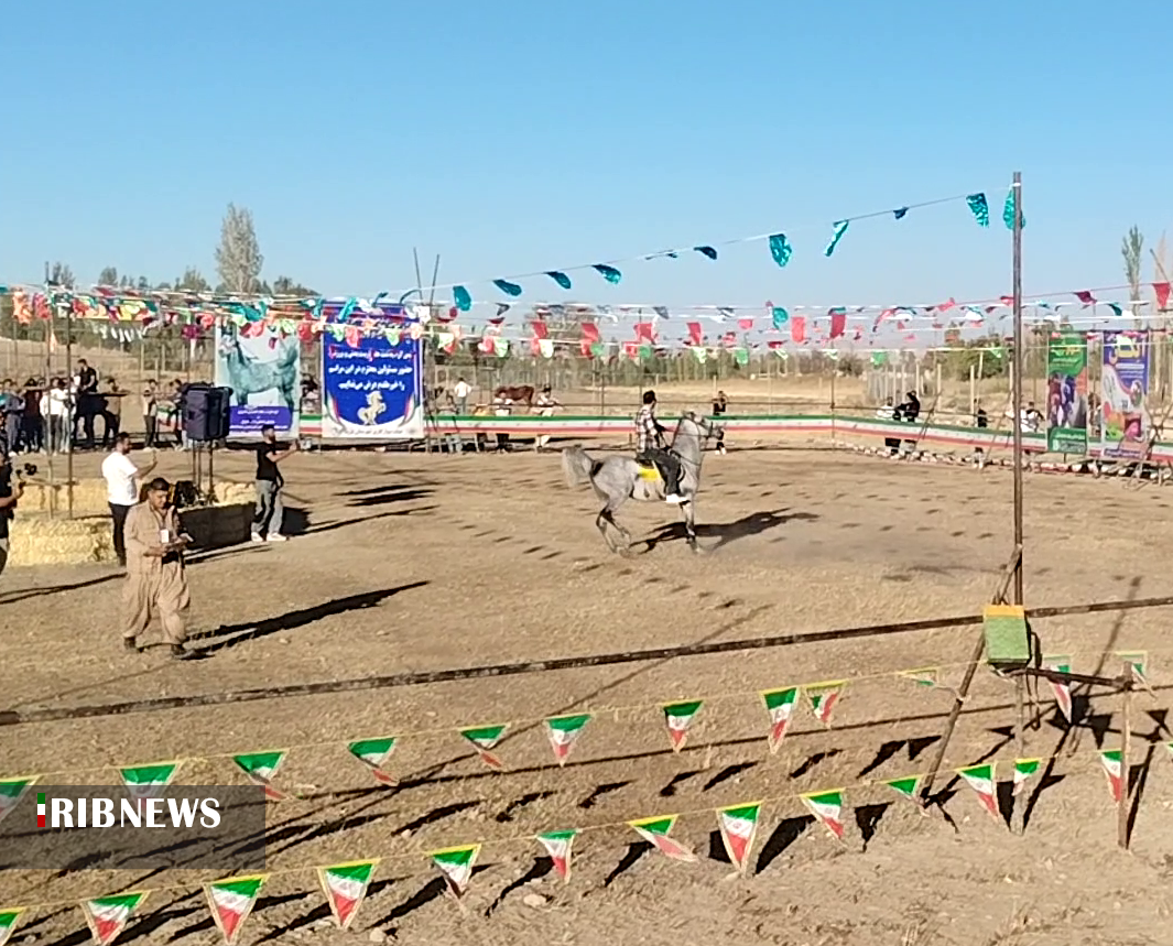 عصر کرد