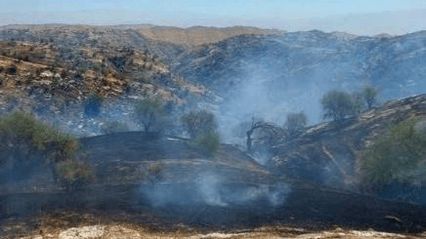 آتش‌سوزی در مناطق کوهستانی و صعب‌العبور جوانرود مهار شد