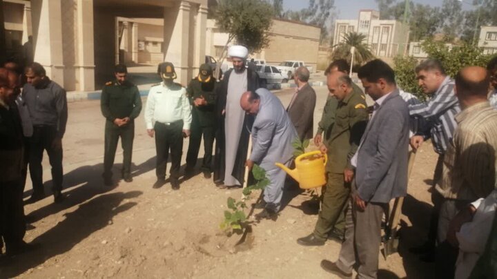 پویش درختکاری به یاد شهدای سلامت در قصرشیرین برگزار شد