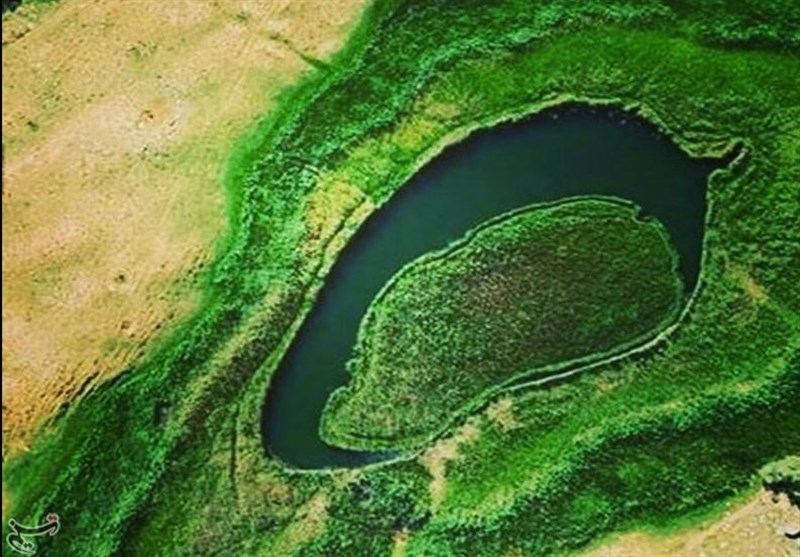 تنها جزیرۀ متحرک ایرانی!