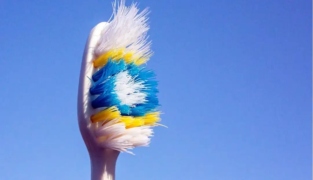 مسواک شما مملو از میکروب‌ها است؛ چه زمانی باید آن را عوض کنید؟