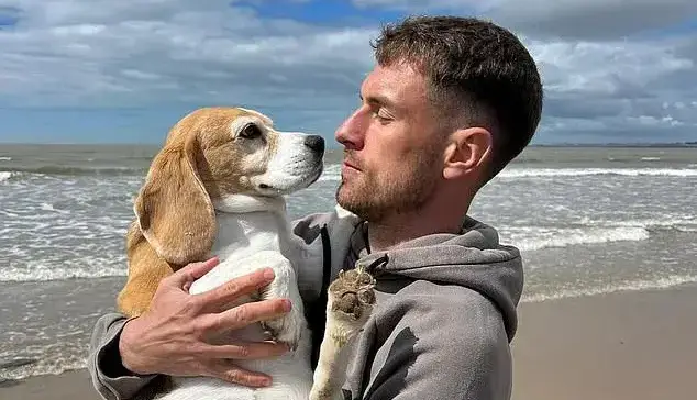 سگ رمزی گم شد، فوتبالش در مکزیک به پایان رسید!