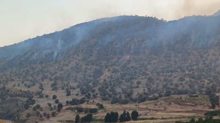 مهار آتش‌ ارتفاعات سرتیپ‌آباد برای حفظ تالاب هشیلان