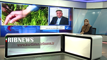 تاثیر نهاده های کشاورزی بر آلودگی آب‌ها