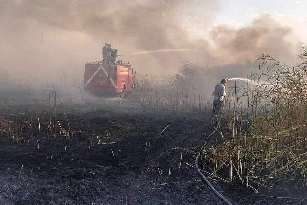 بالیده: ۱۰ هکتار از نیزارهای تالاب مریوان طعمه حریق شد