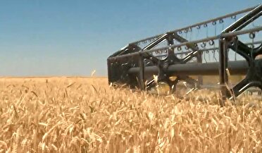 کشت پاییزه محصولات کشاورزی در کردستان