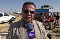 کشت دانه روغنی کاملینا در قروه