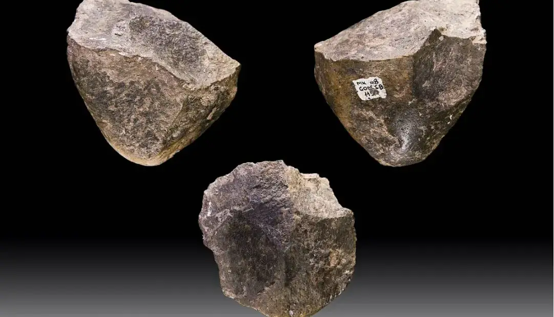 ماندگارترین فناوری جهان؛ اجداد ما میلیون‌ها سال از یک نوع ابزار سنگی استفاده می‌کردند