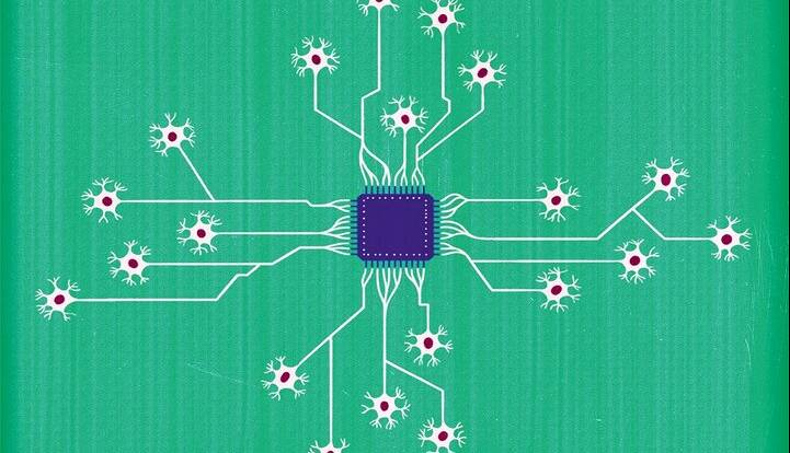 از رایانه‌هایی که با سلول‌های مغز انسان کار می‌کنند، چه می‌دانید؟
