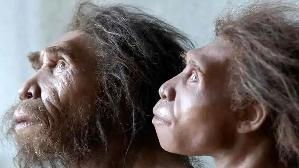 نئاندرتال‌ها هنوز زنده‌اند؛ اما جذب انسان‌های امروزی شده‌اند