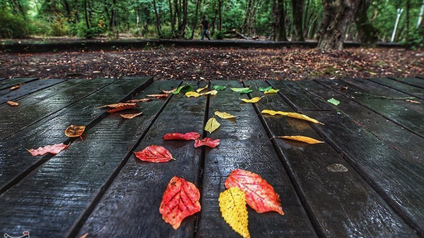 بارش مؤثر اما ناکافی در کرمانشاه؛ اهمیت مصرف درست آب پررنگ‌تر شد