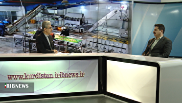 تسهیلات کارآفرینی برای رونق کسب وکار‌ها در کردستان