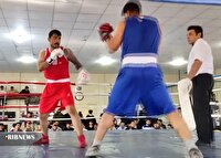 مسابقات انتخابی بوکس قهرمانی کردستان