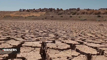 الگوی کشت روی کاغذ؛ بحران آب روی زمین