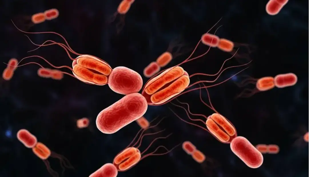 شیوع خاموش یک تهدید باستانی: سویه خطرناک حصبه در حال تسخیر جهان است