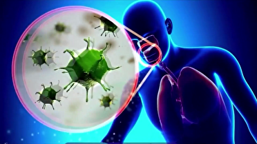 کودکان مهمترین زنجیره‌های انتقال بیماری‌های فصلی