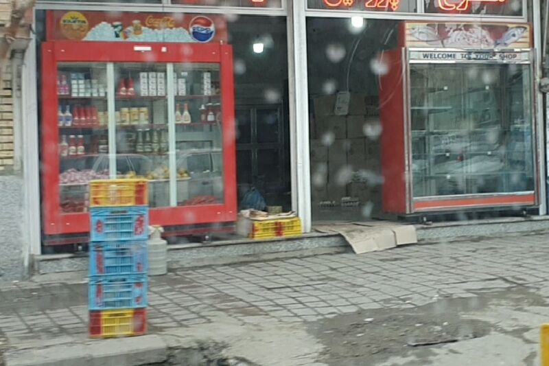 واقعیت کمبود مرغ در سنندج چیست؟