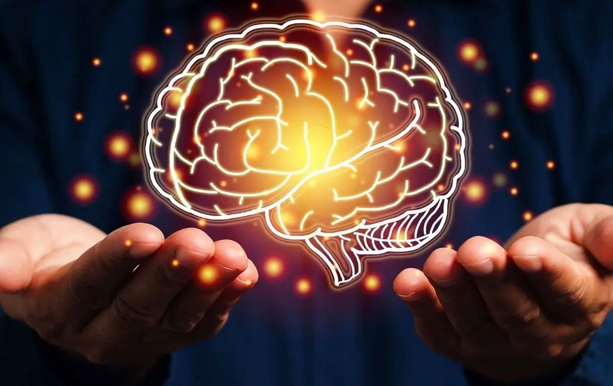 ۵ دوره ساختاری مغز؛ کشف نقاط عطف سیم کشی عصبی از تولد تا کهنسالی/ تصاویر