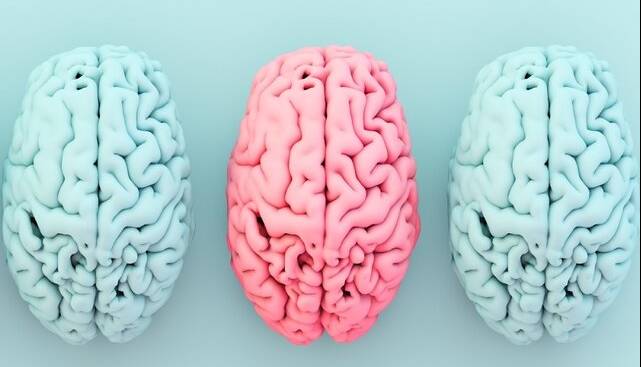 ارتباط شگفت‌انگیز میان یک ماده مغذی کلیدی، چاقی و خطر آلزایمر