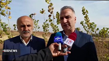 کمبود کود کشاورزی به زودی برطرف می‌شود