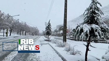 برف شهرهای کردستان را سفید پوش کرد