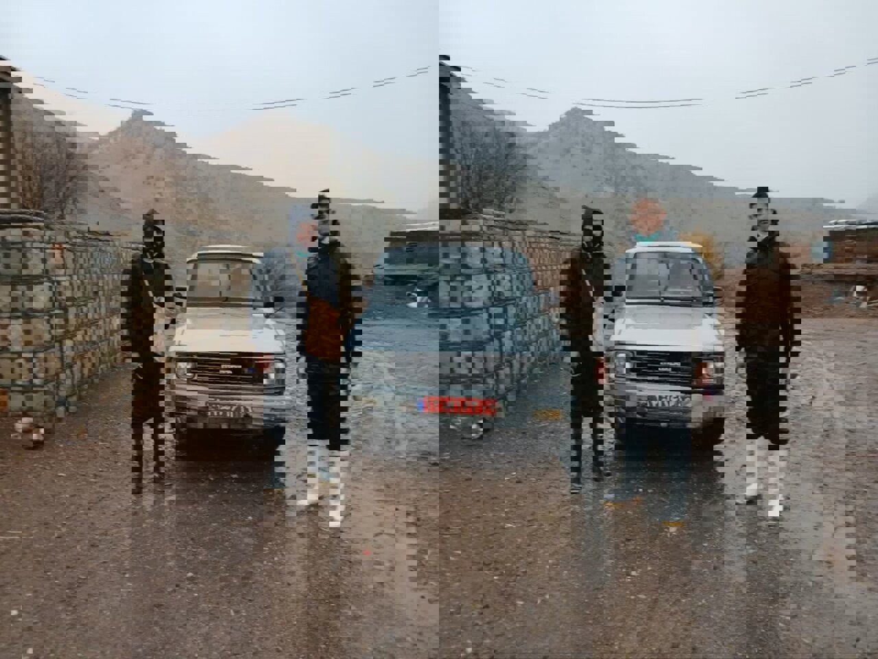 واکسیناسیون دام‌ها در هرسین برای مقابله با تب برفکی