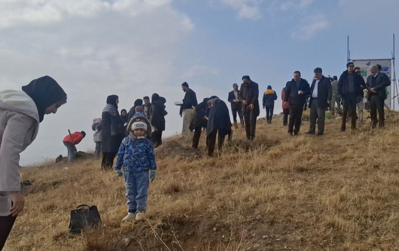 پویش درختکاری در سایه مادر در کردستان برگزار شد