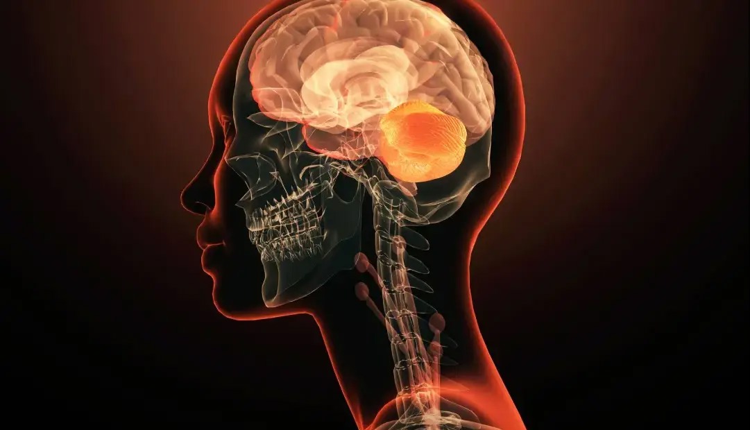 برای نخستین‌بار یک ژن واحد به‌تنهایی عامل بیماری روانی شناخته شد