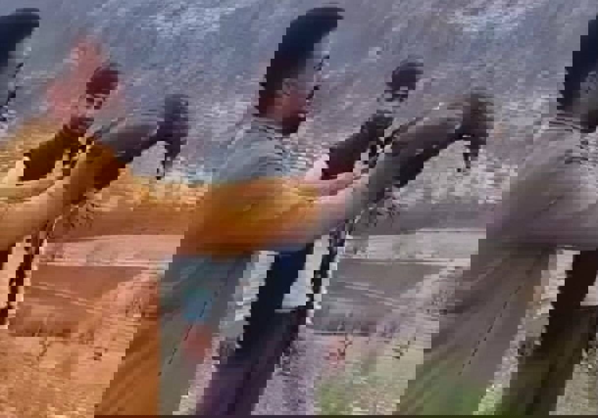 سارگپه زخمی پس از دو ماه تیمار به طبیعت سروآباد بازگشت