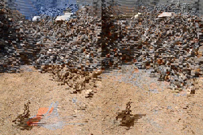 کشف ۶ تن چوب قاچاق در کنگاور به ارزش یک میلیارد ریال