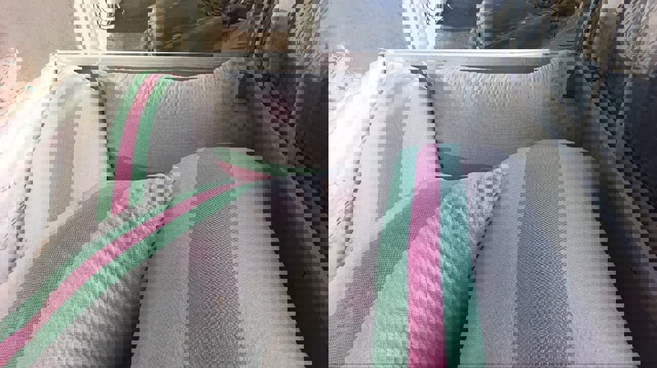 توزیع بذرهای بومی و مقاوم برای احیای منابع طبیعی کرمانشاه