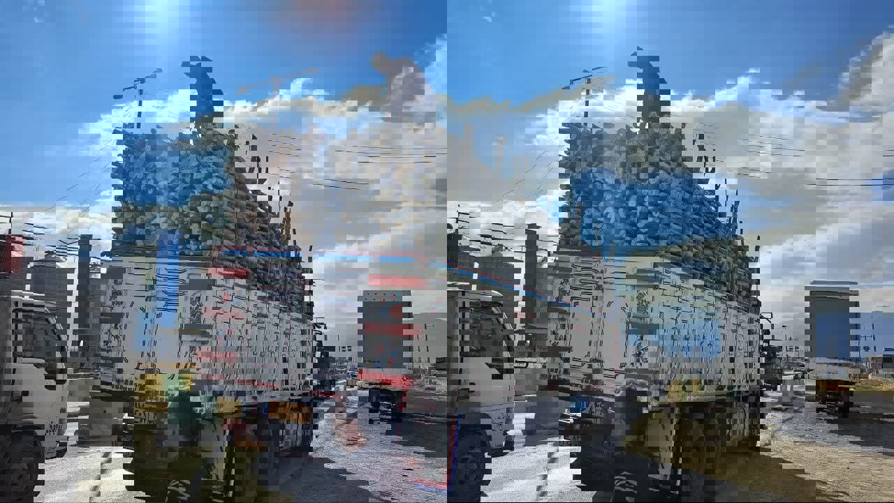 کشف محموله قاچاق چوب بید در کامیاران