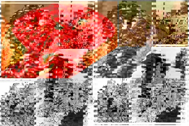 روایت حماسه و دفاع در کرمانشاه ؛ شبی که انارها با اشکِ خون دانه شدند