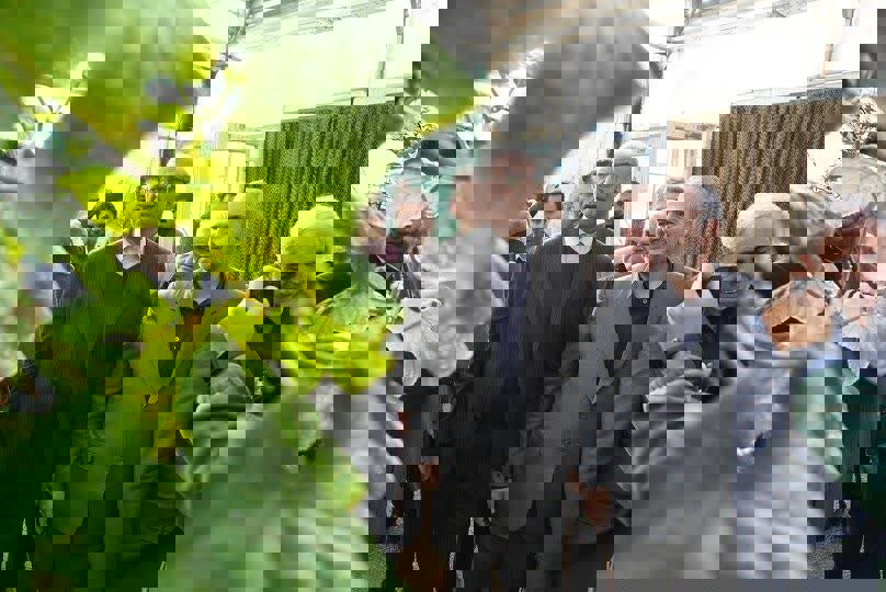 استاندار کرمانشاه از واحد دانش‌بنیان نهال‌کاری بازدید کرد