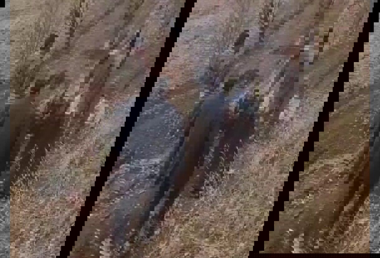 کشف و امحای کوره زغال‌گیری غیرمجاز در محدوده روستاهای قلعه‌گاه و منفرد