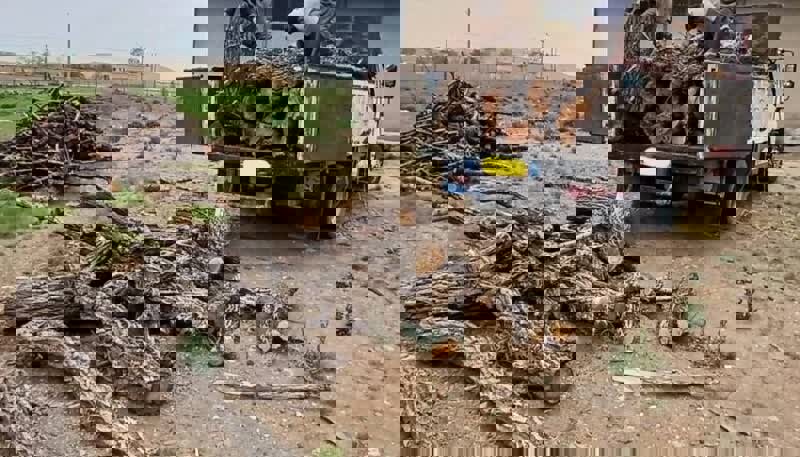 کشف ۱۰ تن چوب جنگلی قاچاق در دهگلان