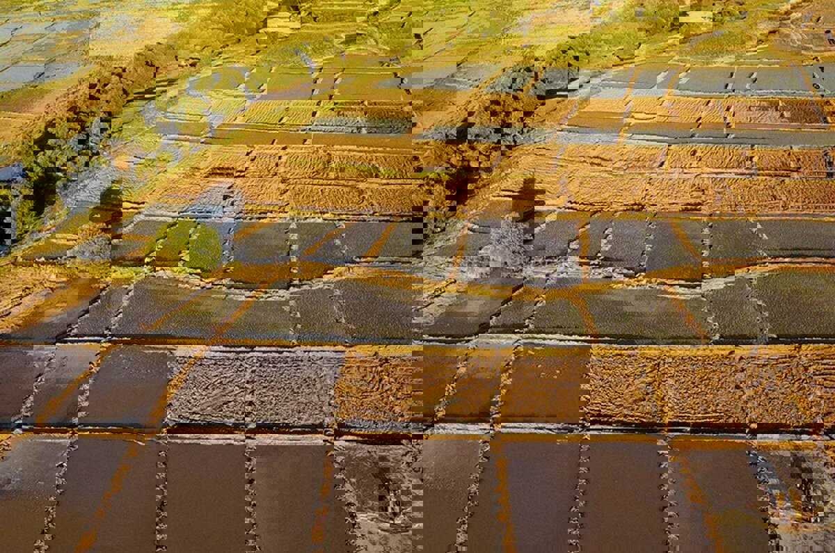 آشتاب: ۴۵۰ پلاک در سامانه سحاک کرمانشاه تعیین تکلیف شد