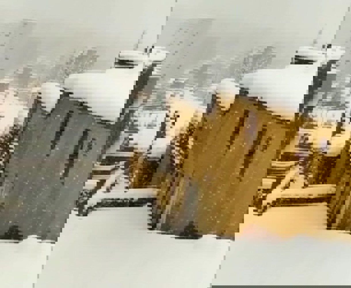 بارش برف در بانه