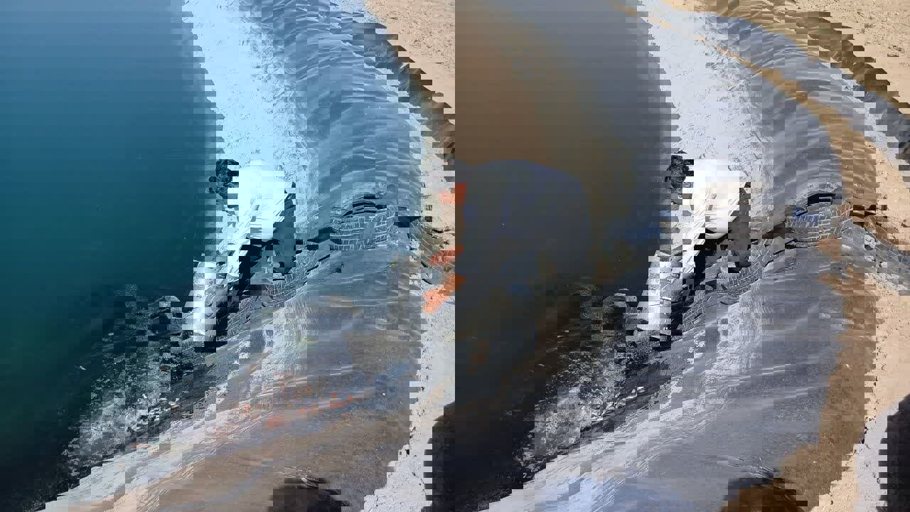 ۱۱۰ هزار قطعه بچه‌ماهی در سد زاگرس گیلانغرب رها شد