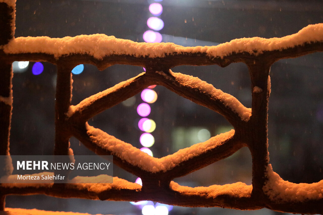 بارش برف شهرستان دالاهو را سفیدپوش کرد