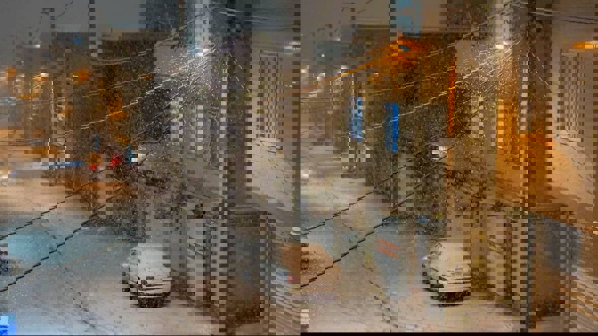 بارش برف سنندج را سفیدپوش کرد