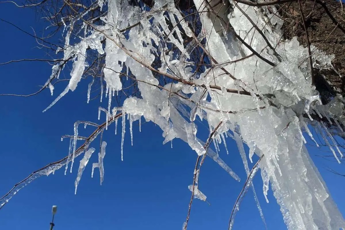 حاکم شدن شرایط یخبندان بر استان کردستان