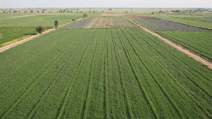 واگذاری ۶۱۳ هکتار از اراضی ملی کردستان برای توسعه تولید و اشتغال پایدار