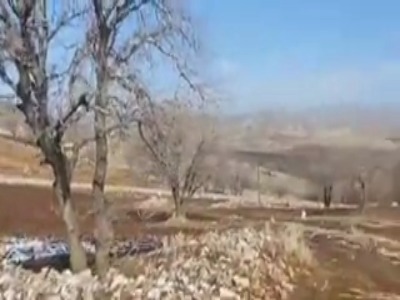 رهاسازی یک بهله شاه‌بوف در دالاهو