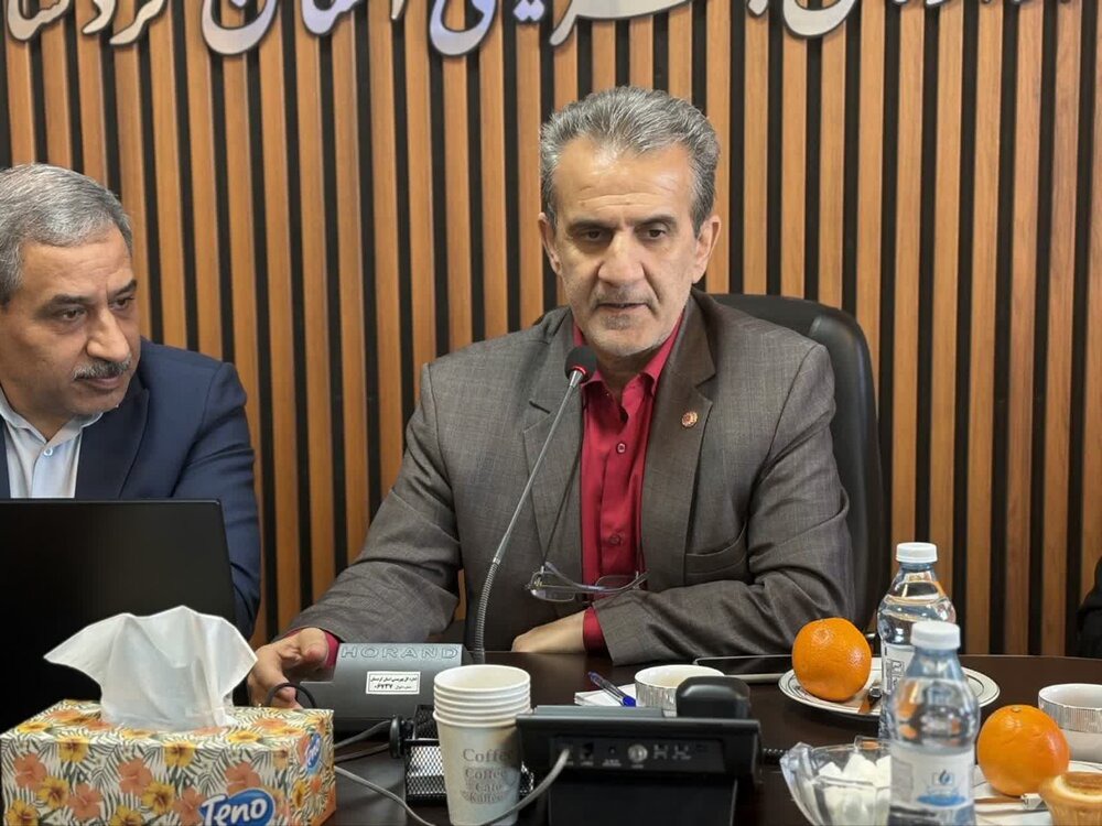 معاون سلامت اجتماعی بهزیستی کشور: سلامت اجتماعی نیازمند نگاه پیشگیرانه و نیازمحور است