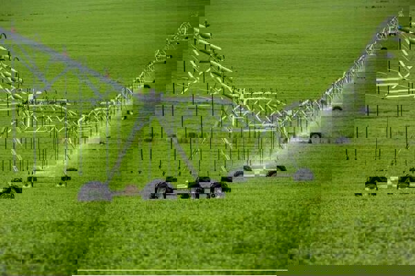 آبیاری نوین؛ راهکار کردستان برای عبور از تنش آبی در حوزه کشاورزی