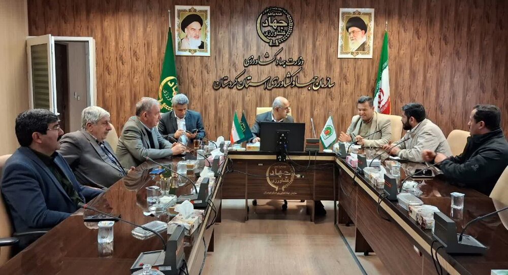 رئیس جهاد کشاورزی استان: سالانە ۳۵۰ هزار تن سیب‌زمینی در کردستان تولید می‌شود