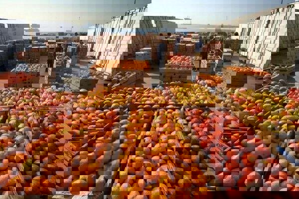 تسریع در ترخیص کالاهای فاسدشدنی و انبارهای گمرکات کردستان ضروری است